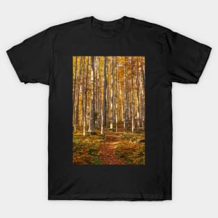 Deciduous forest with big trees T-Shirt